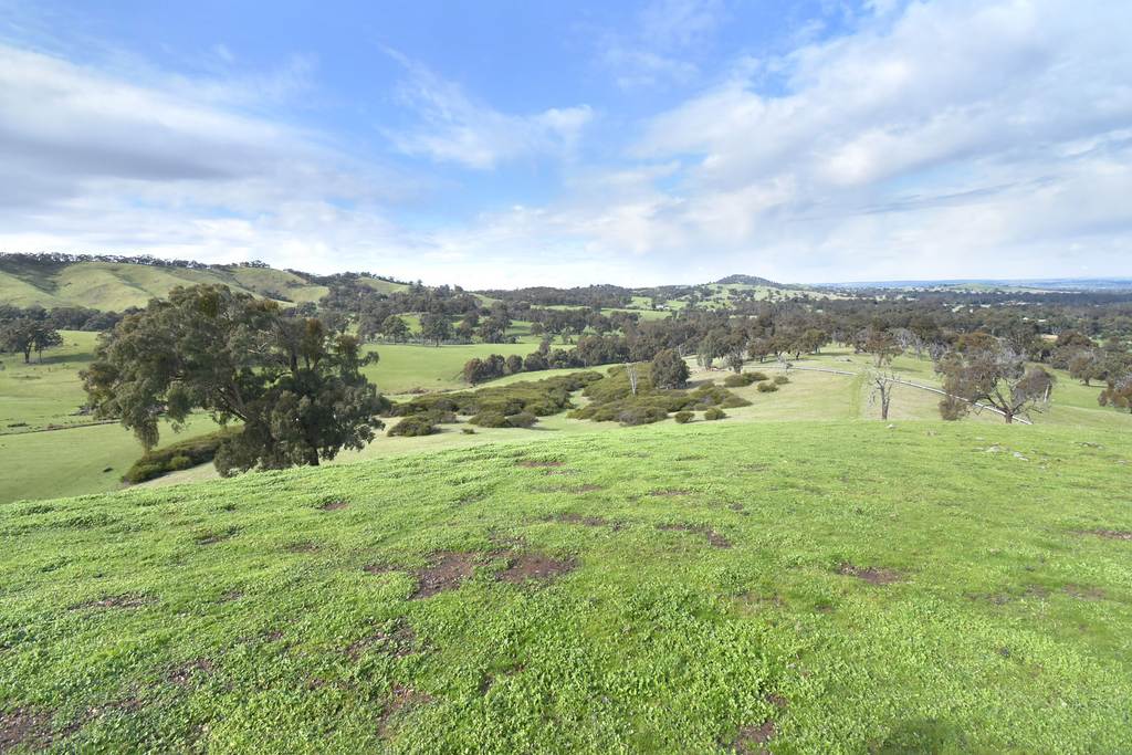 Lot 1 172 Rhymney Road, Norval VIC 3377