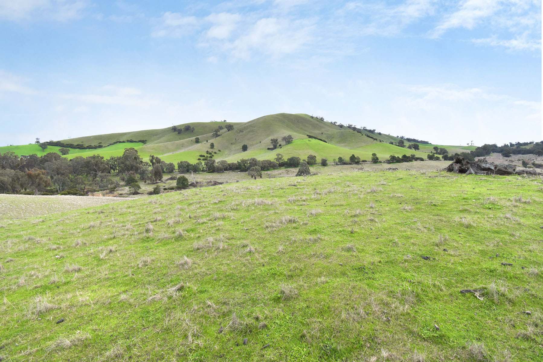Lot 1 172 Rhymney Road, Norval For Sale by Farmbuy.com - image 5