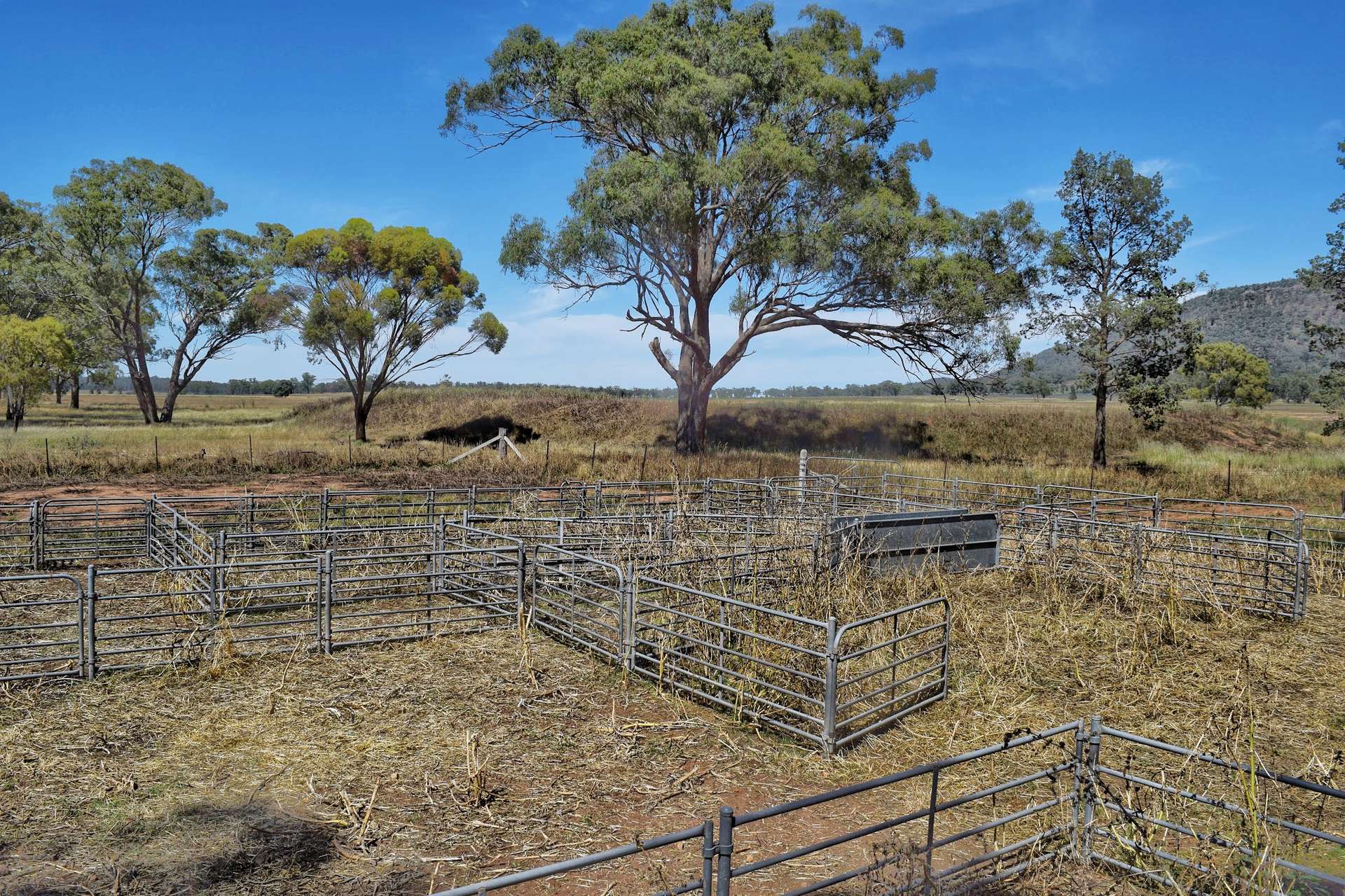 179 Mittons Lane 'Lorna Doone', Pinnacle For Sale by Farmbuy.com - image 21