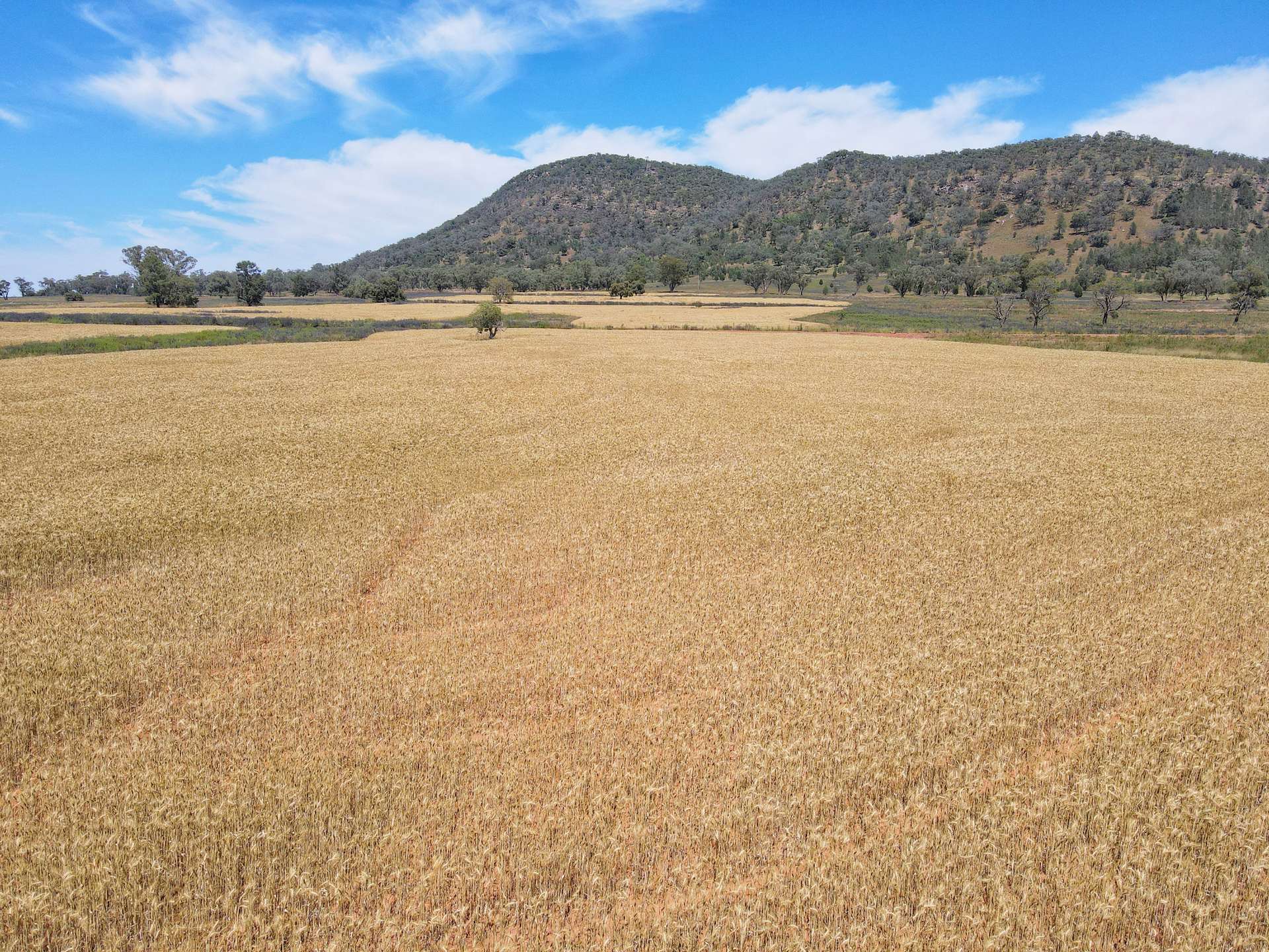 179 Mittons Lane 'Lorna Doone', Pinnacle For Sale by Farmbuy.com - image 26