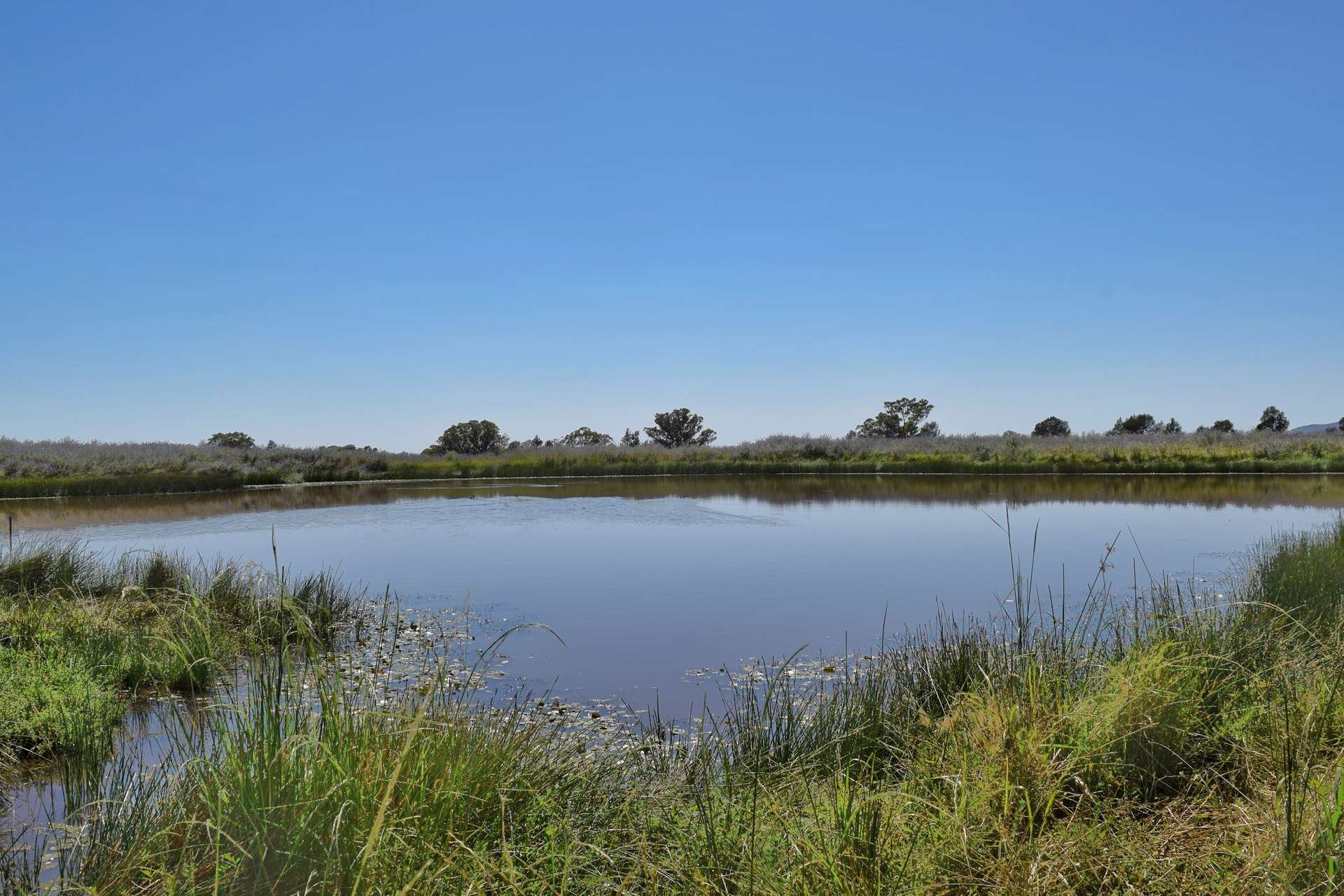 179 Mittons Lane 'Lorna Doone', Pinnacle For Sale by Farmbuy.com - image 3