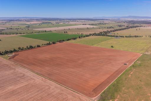 179 Mittons Lane 'Lorna Doone', Pinnacle NSW 2810