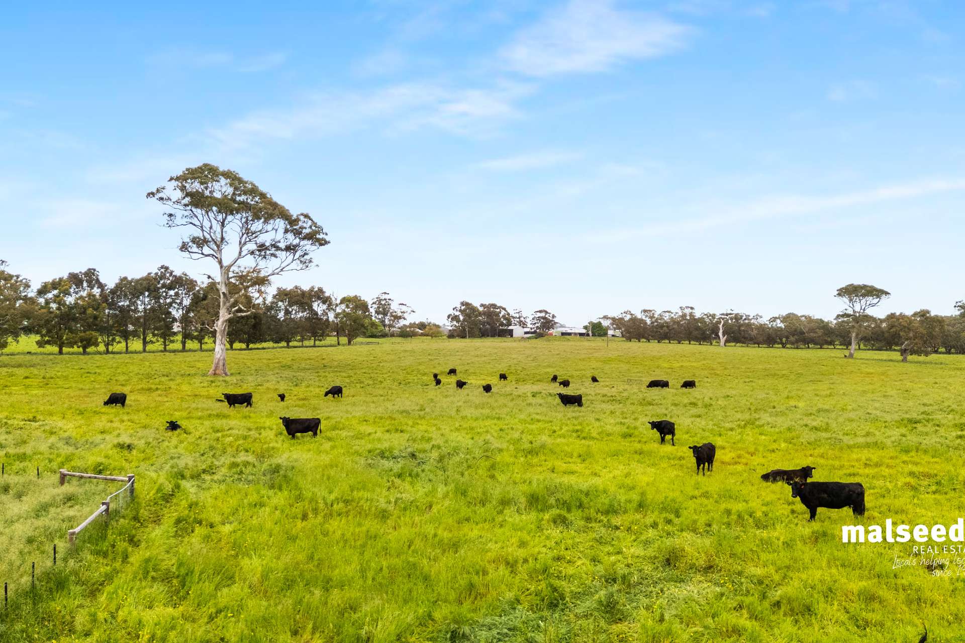1365B Mingbool Road, Mingbool Sold by Farmbuy.com - image 29