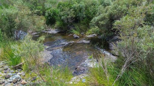 1325 Connolly Dam Road, Silverwood QLD 4370