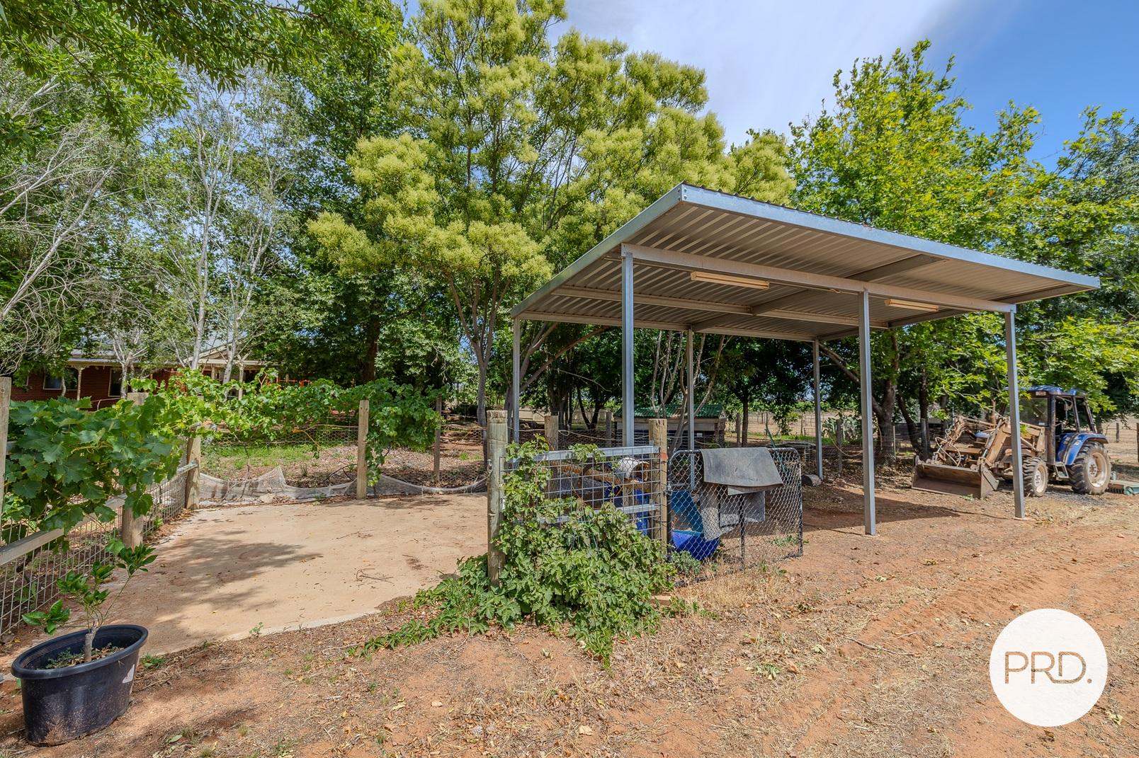 169 Euston Avenue, Irymple For Sale by Farmbuy.com - image 24