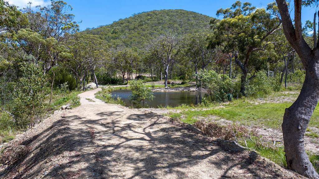 52 McGhee Crescent, Agnes Water QLD 4677