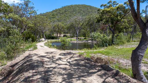 52 McGhee Crescent, Agnes Water QLD 4677