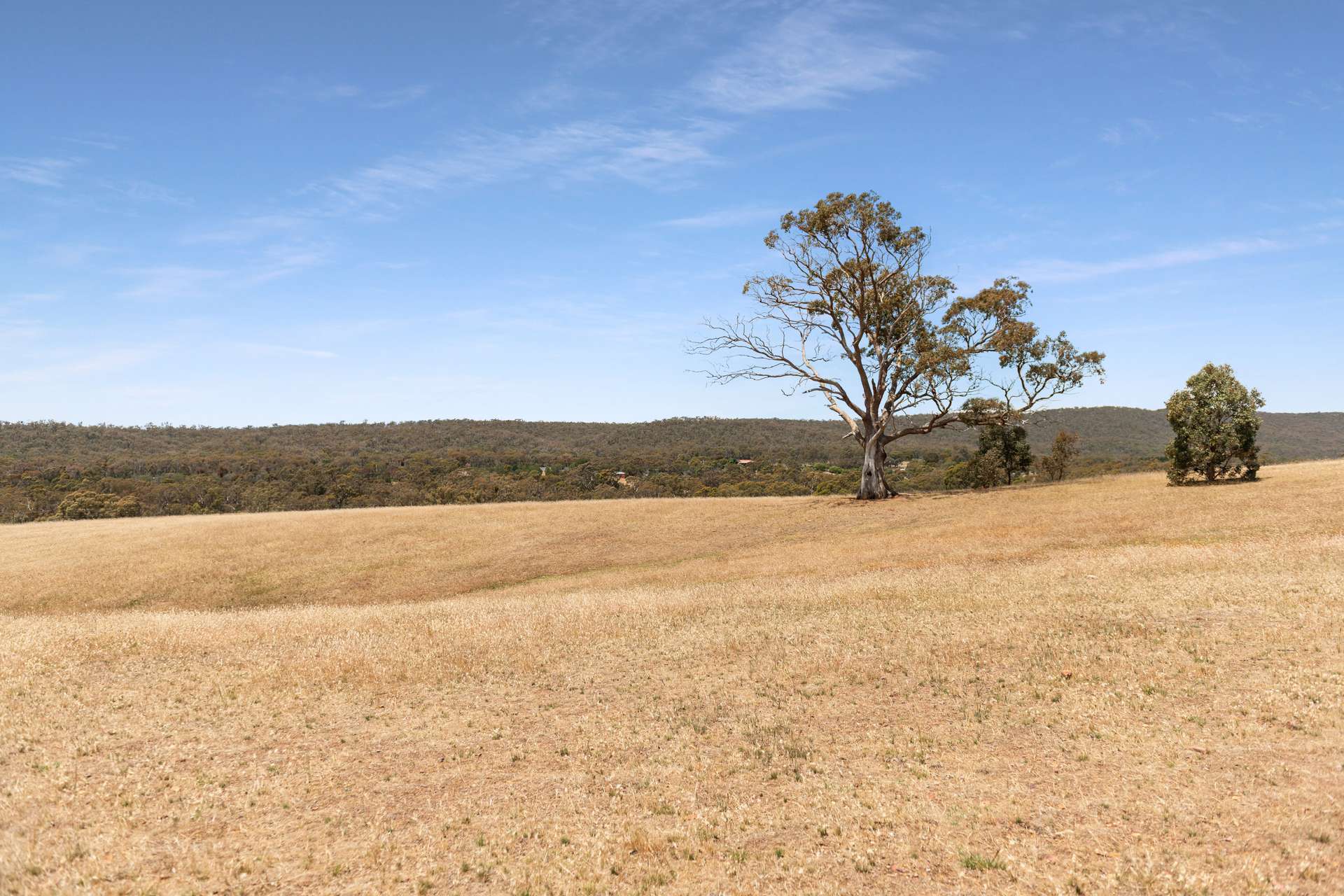 58 Drummonds Lane, Heathcote Sold by Farmbuy.com - image 14