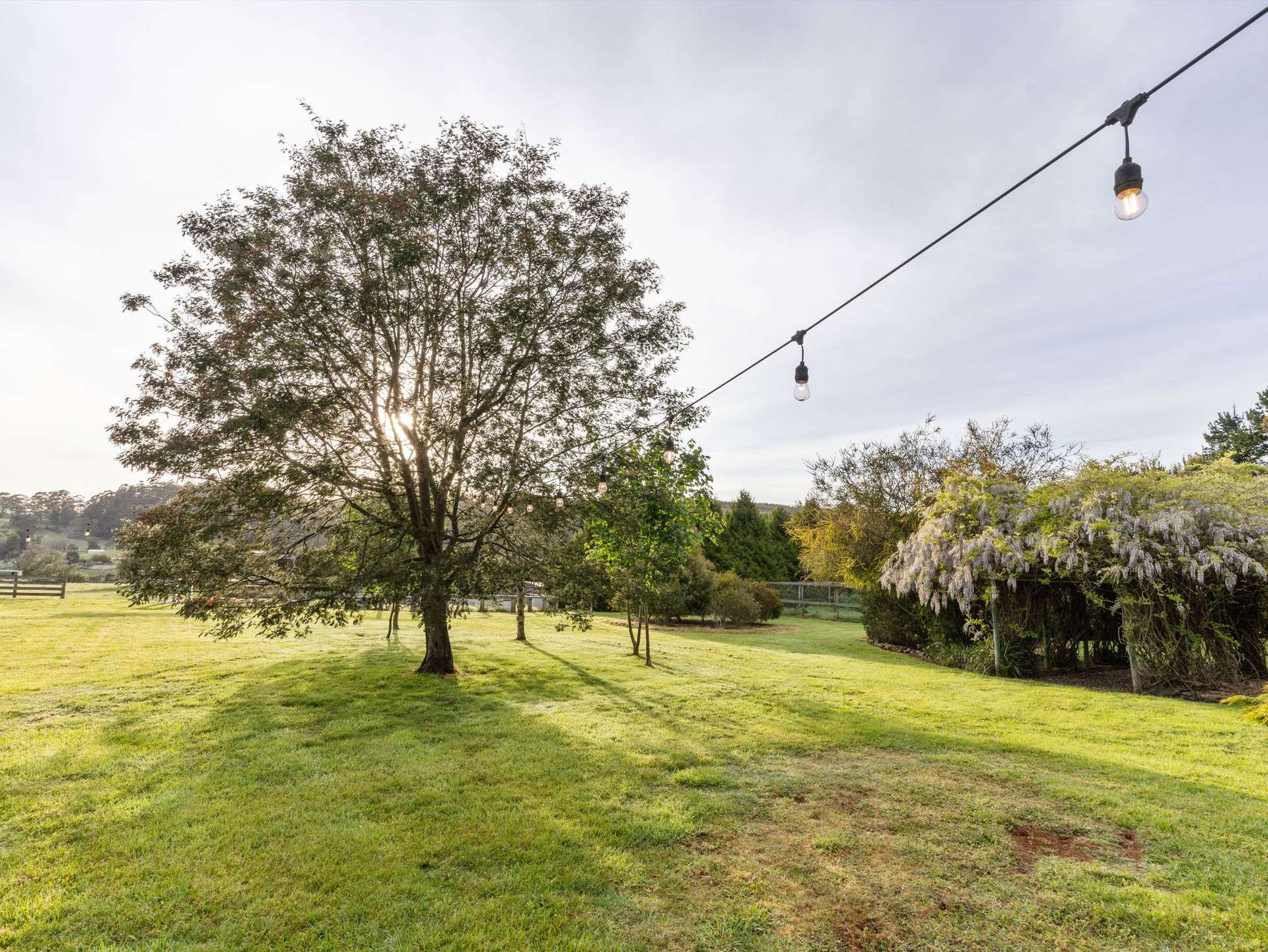 309 West Ridgley Road, West Ridgley For Sale by Farmbuy.com - image 17