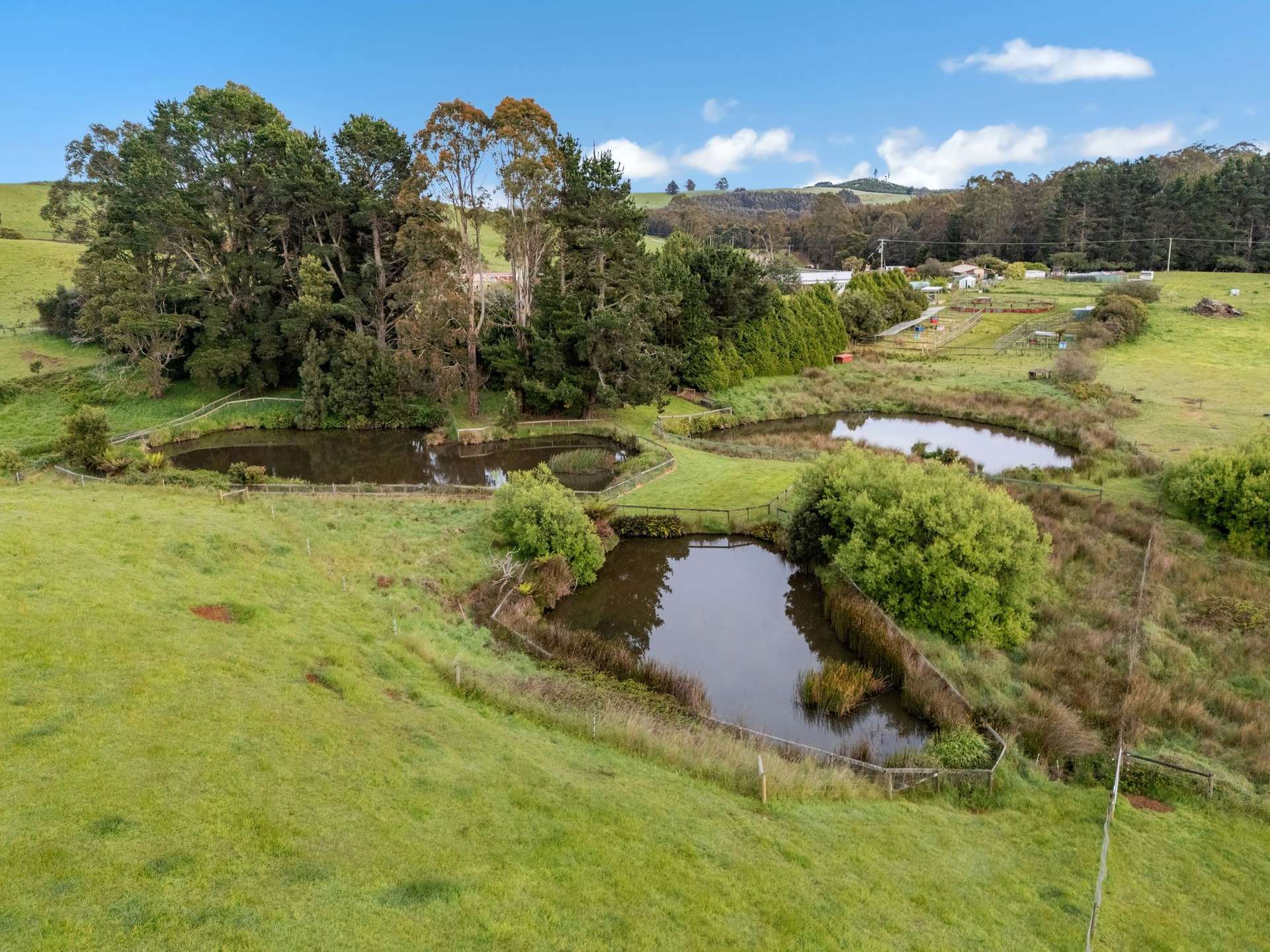 309 West Ridgley Road, West Ridgley For Sale by Farmbuy.com - image 6