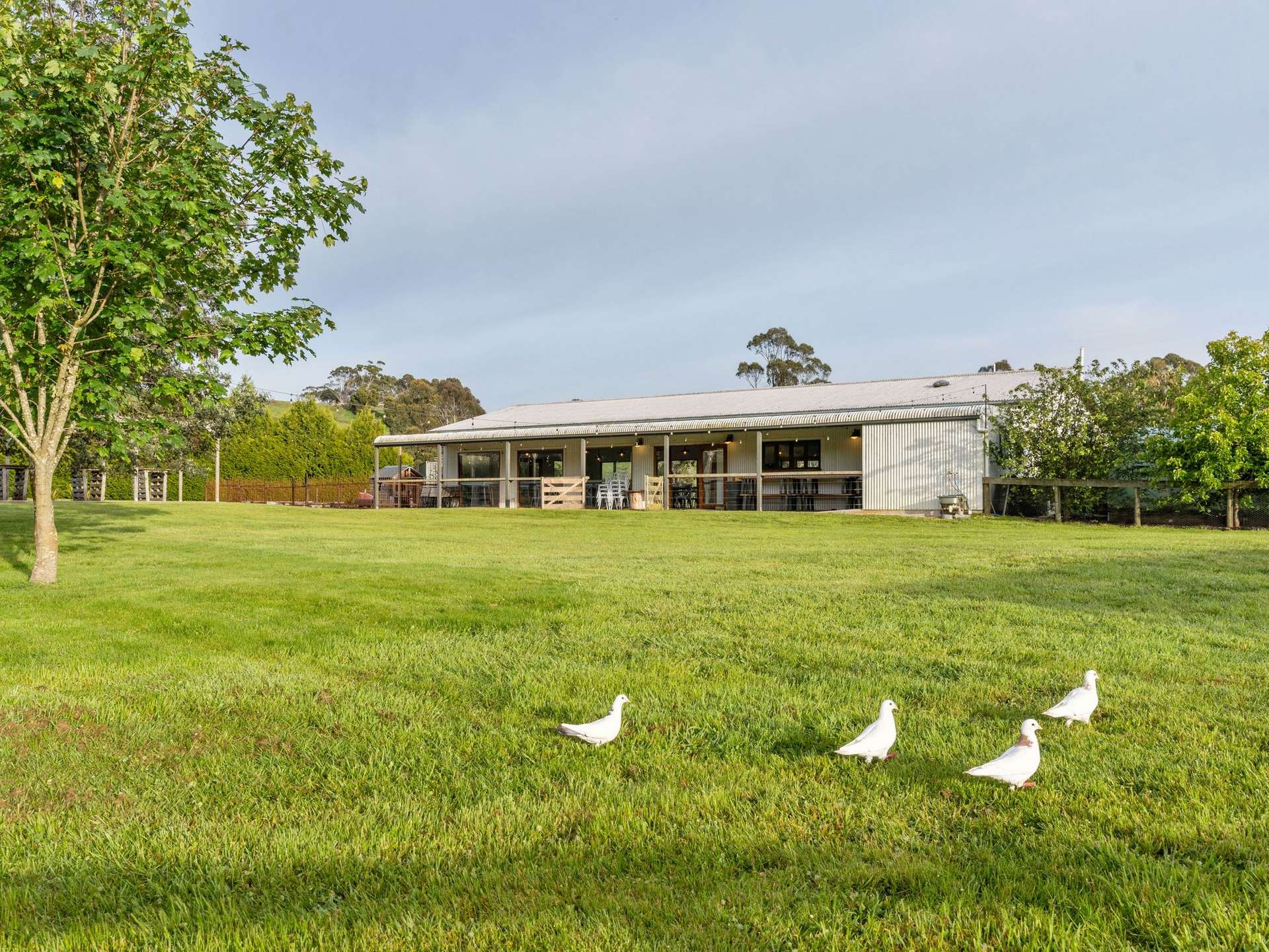 309 West Ridgley Road, West Ridgley For Sale by Farmbuy.com - image 15