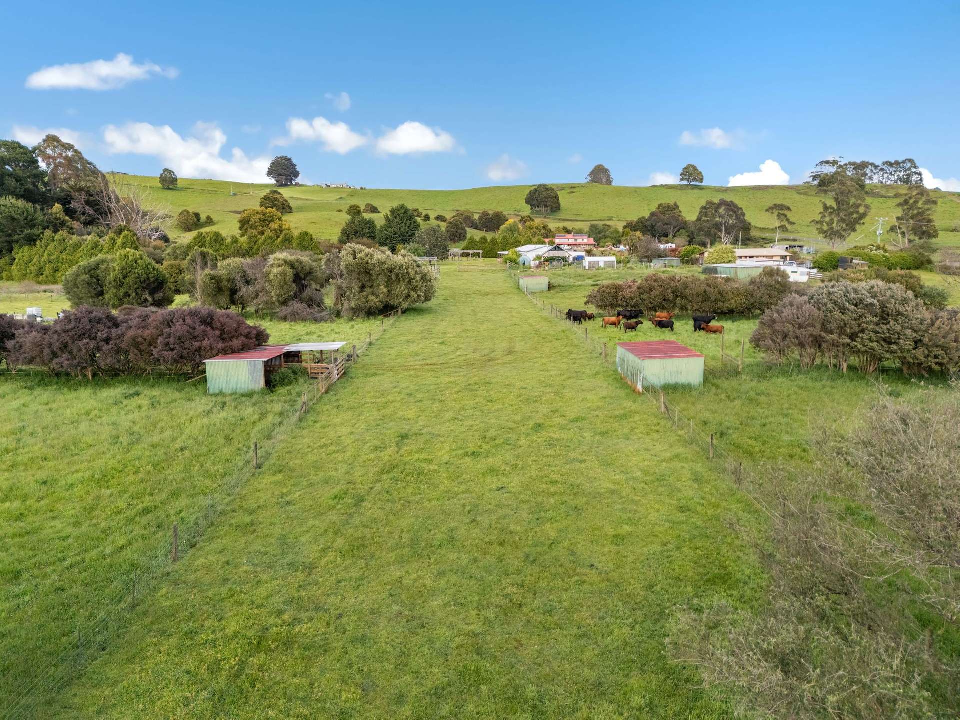 309 West Ridgley Road, West Ridgley For Sale by Farmbuy.com - image 10