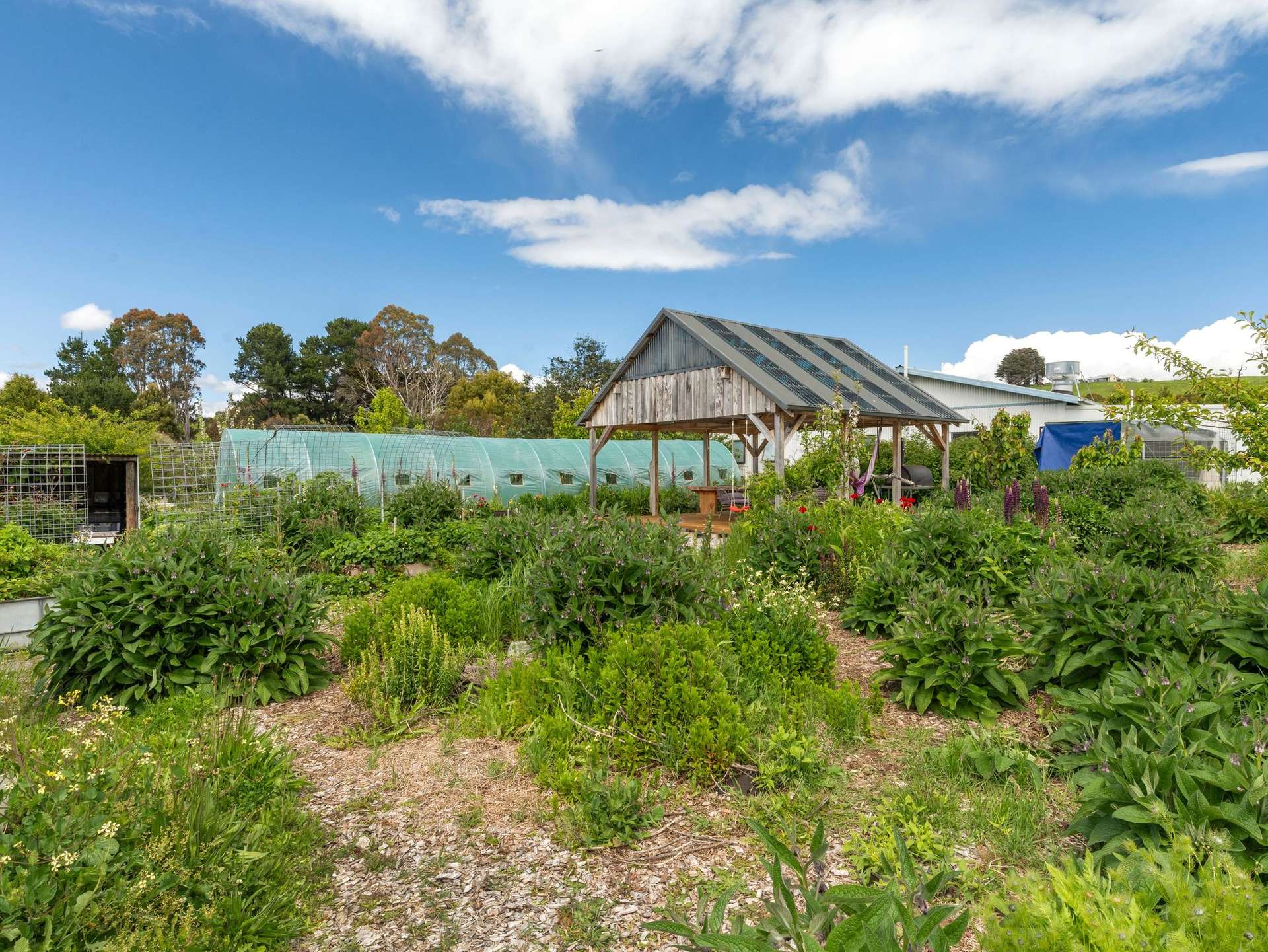 309 West Ridgley Road, West Ridgley For Sale by Farmbuy.com - image 16