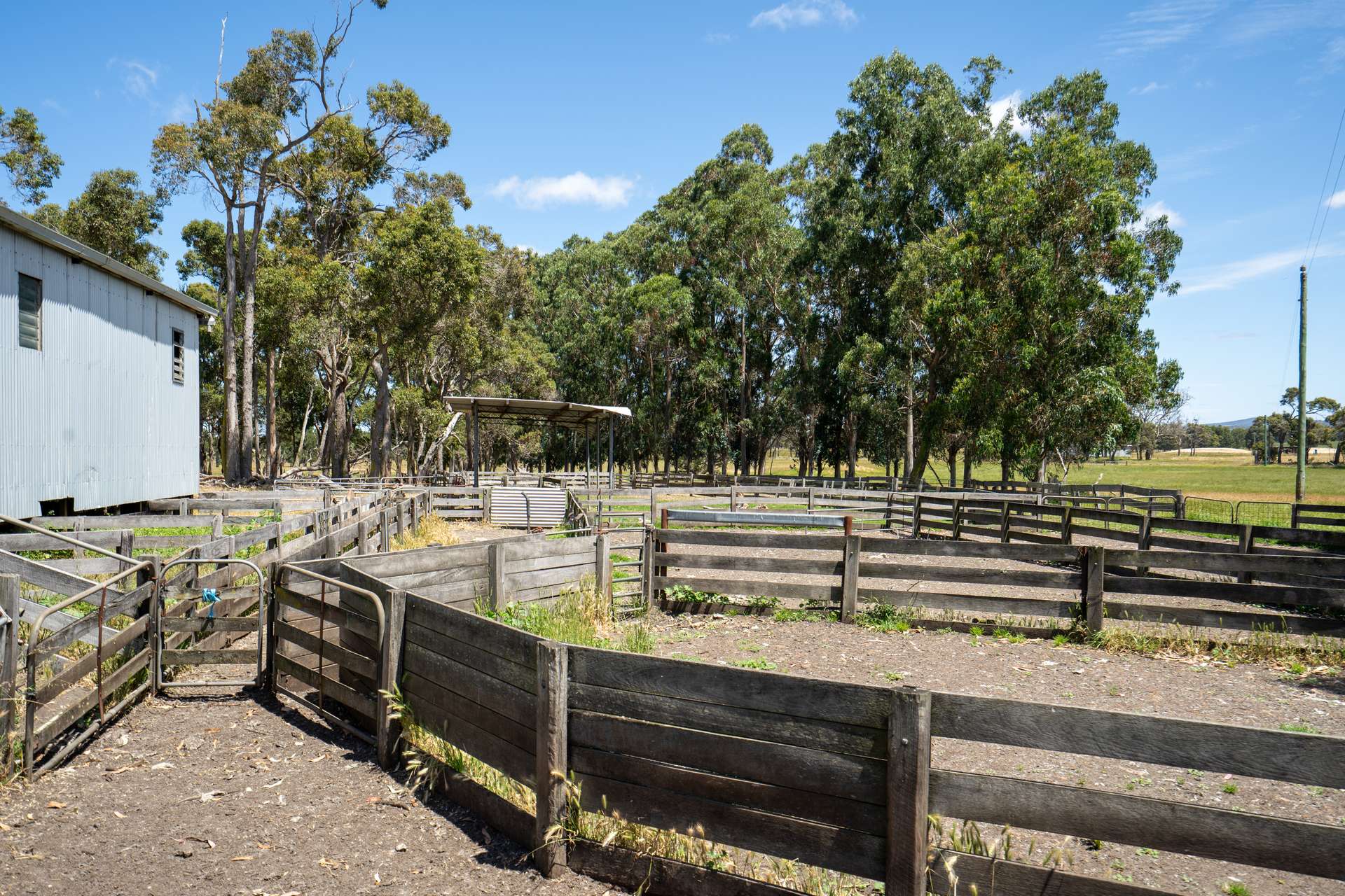 1234 Yellanup Road, Narrikup Sold by Farmbuy.com - image 18
