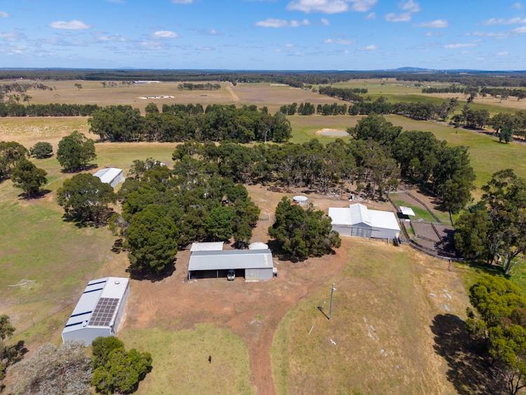 1234 Yellanup Road, Narrikup Sold by Farmbuy.com - image 4