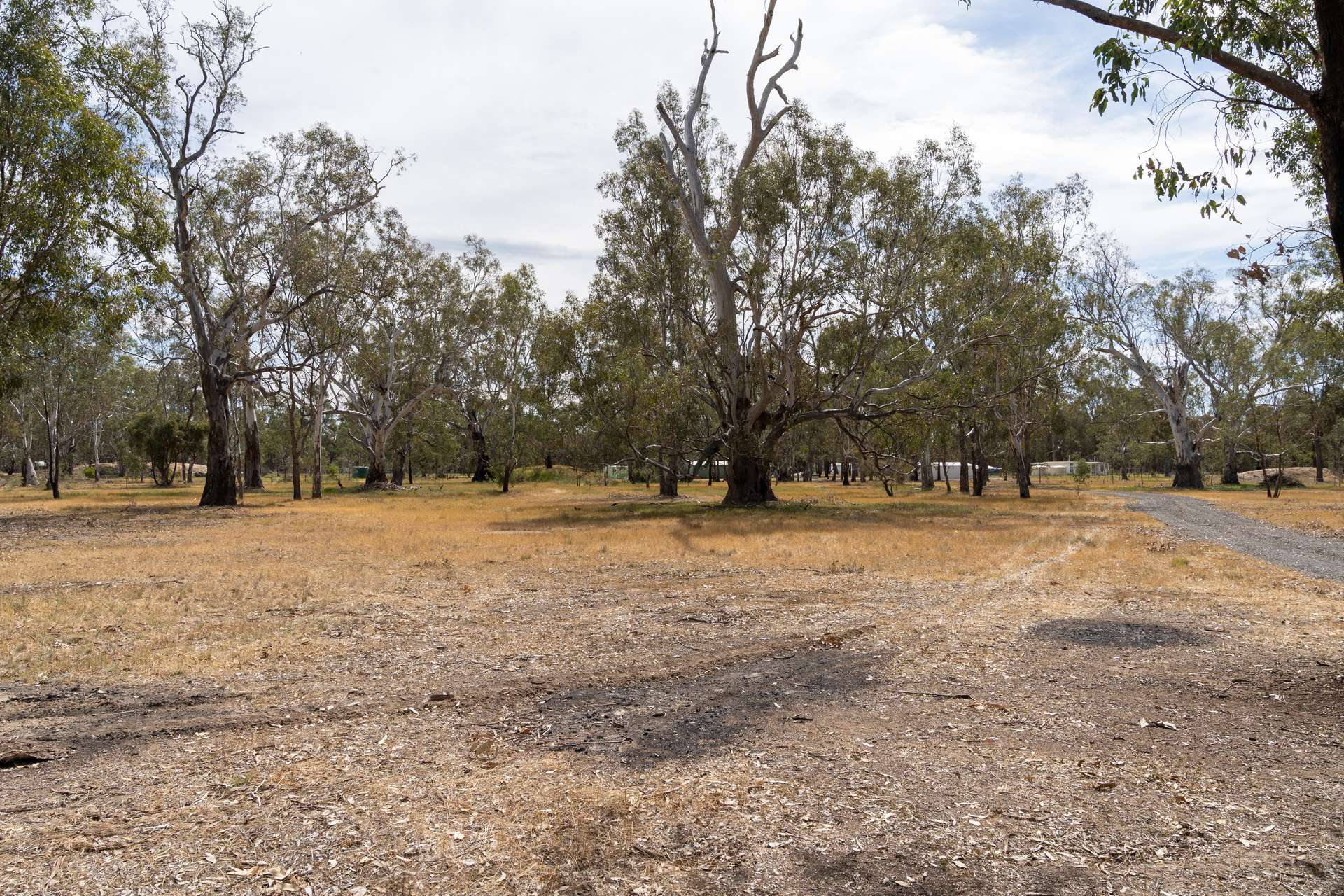 29 Taylor Drive, Miepoll For Sale by Farmbuy.com - image 5