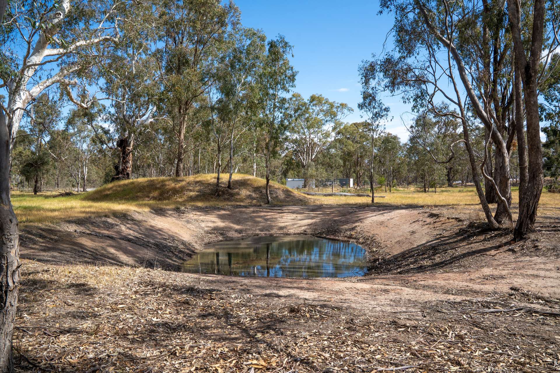 29 Taylor Drive, Miepoll For Sale by Farmbuy.com - image 10