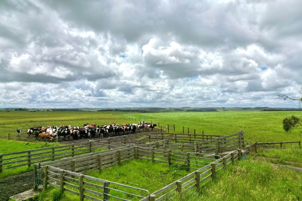 Smokey Point Road, Port Campbell VIC 3269