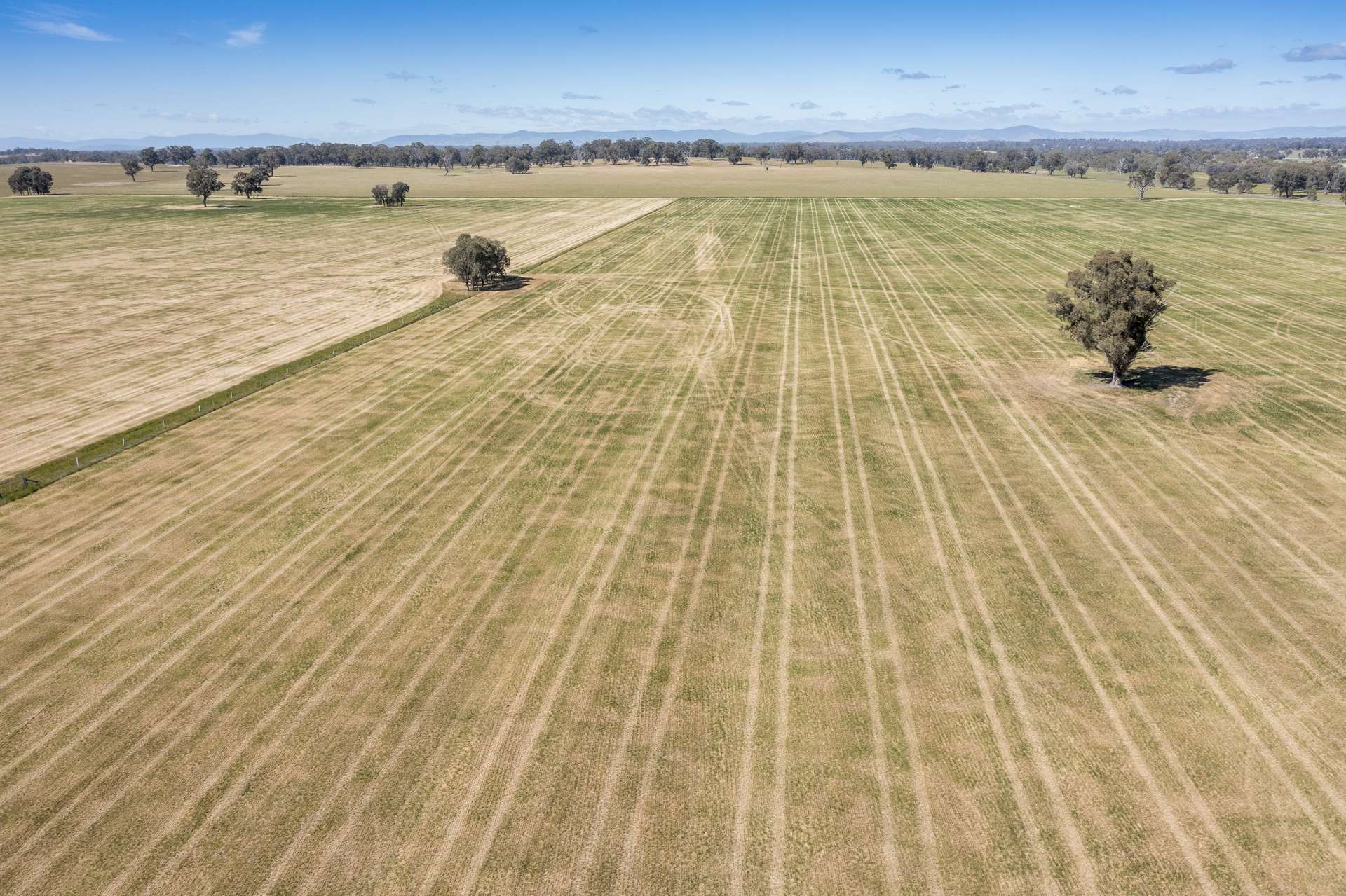 CA18 Goomalibee Rd, Goomalibee For Sale by Farmbuy.com - image 6
