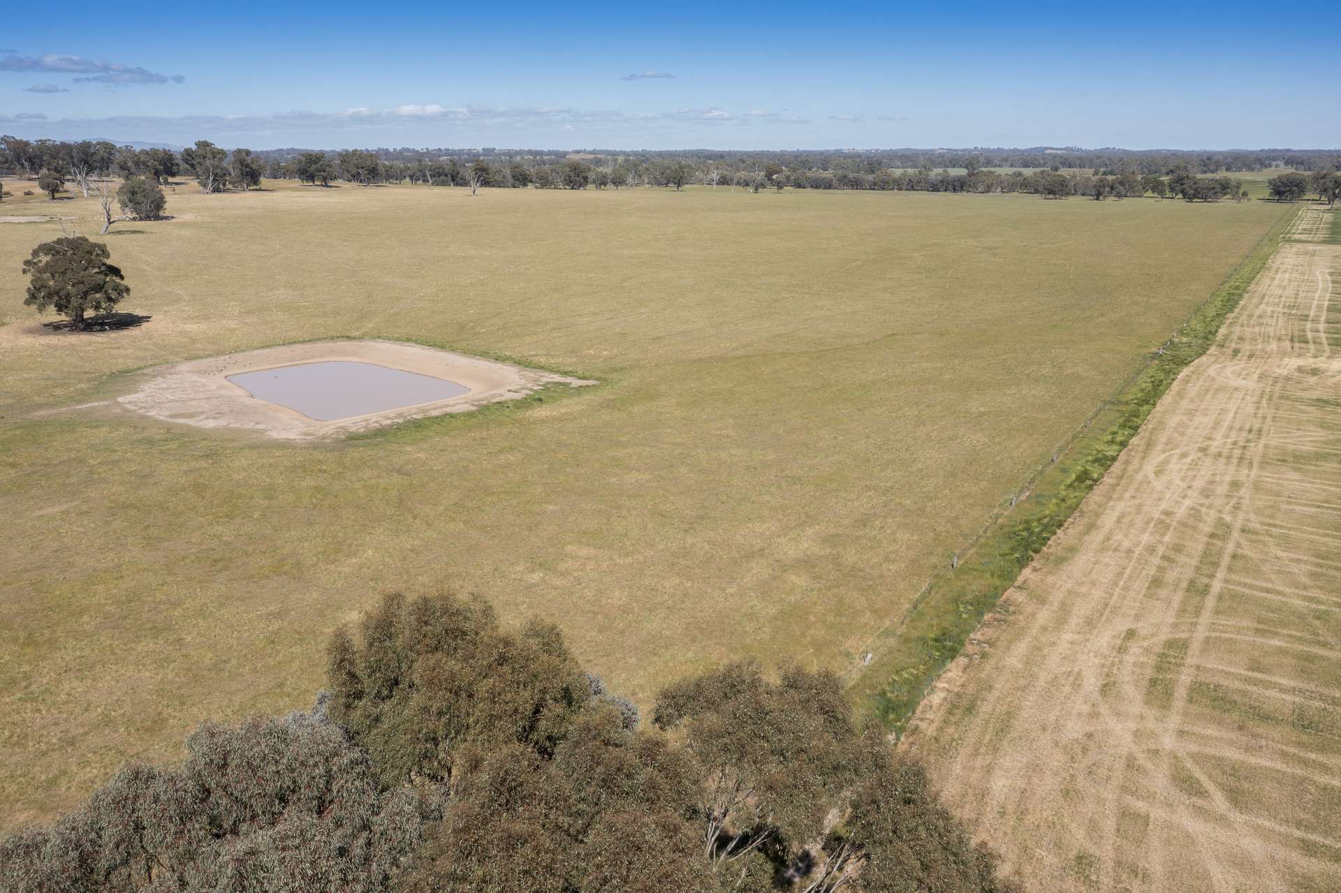 CA18 Goomalibee Rd, Goomalibee For Sale by Farmbuy.com - image 7