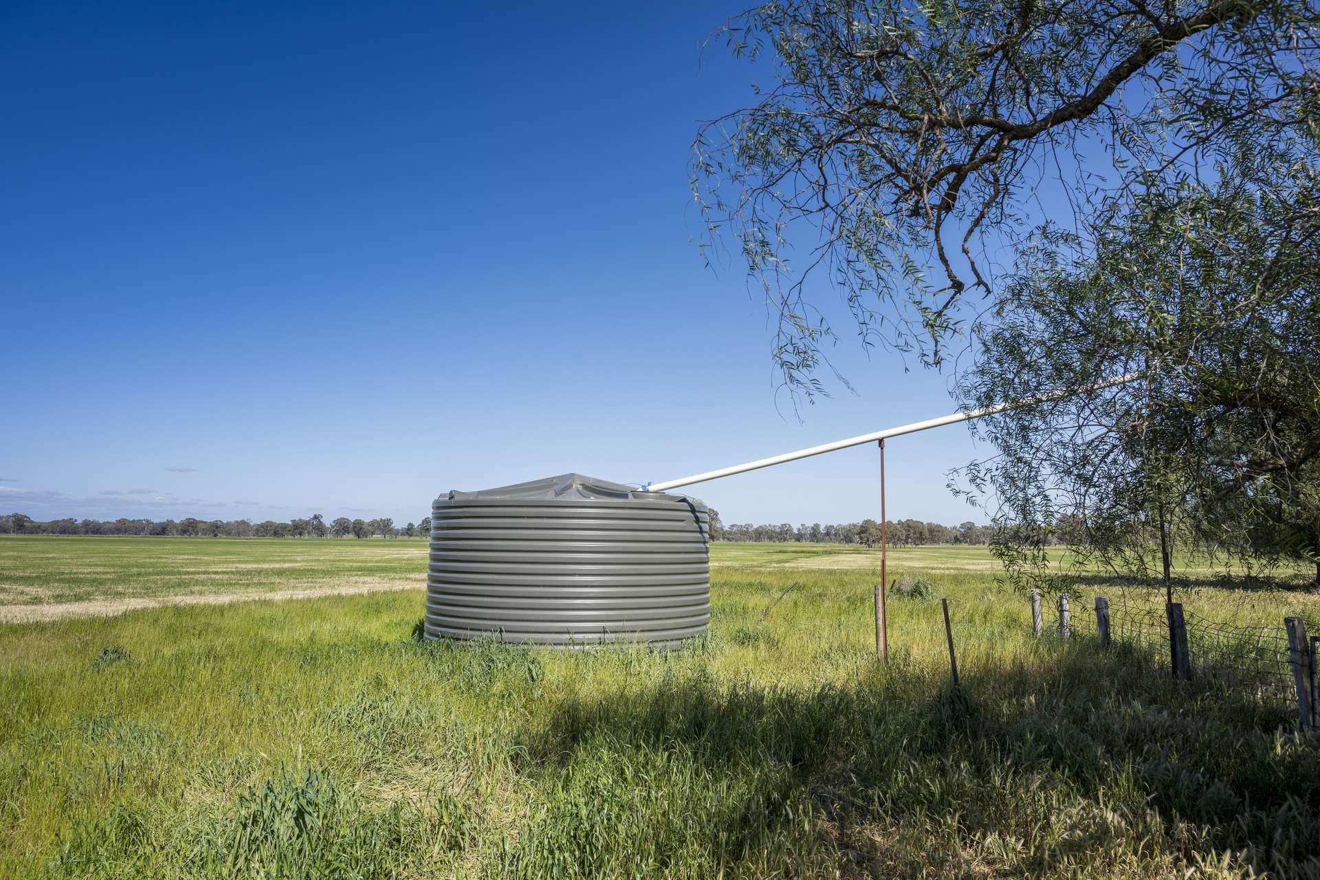 CA18 Goomalibee Rd, Goomalibee For Sale by Farmbuy.com - image 12