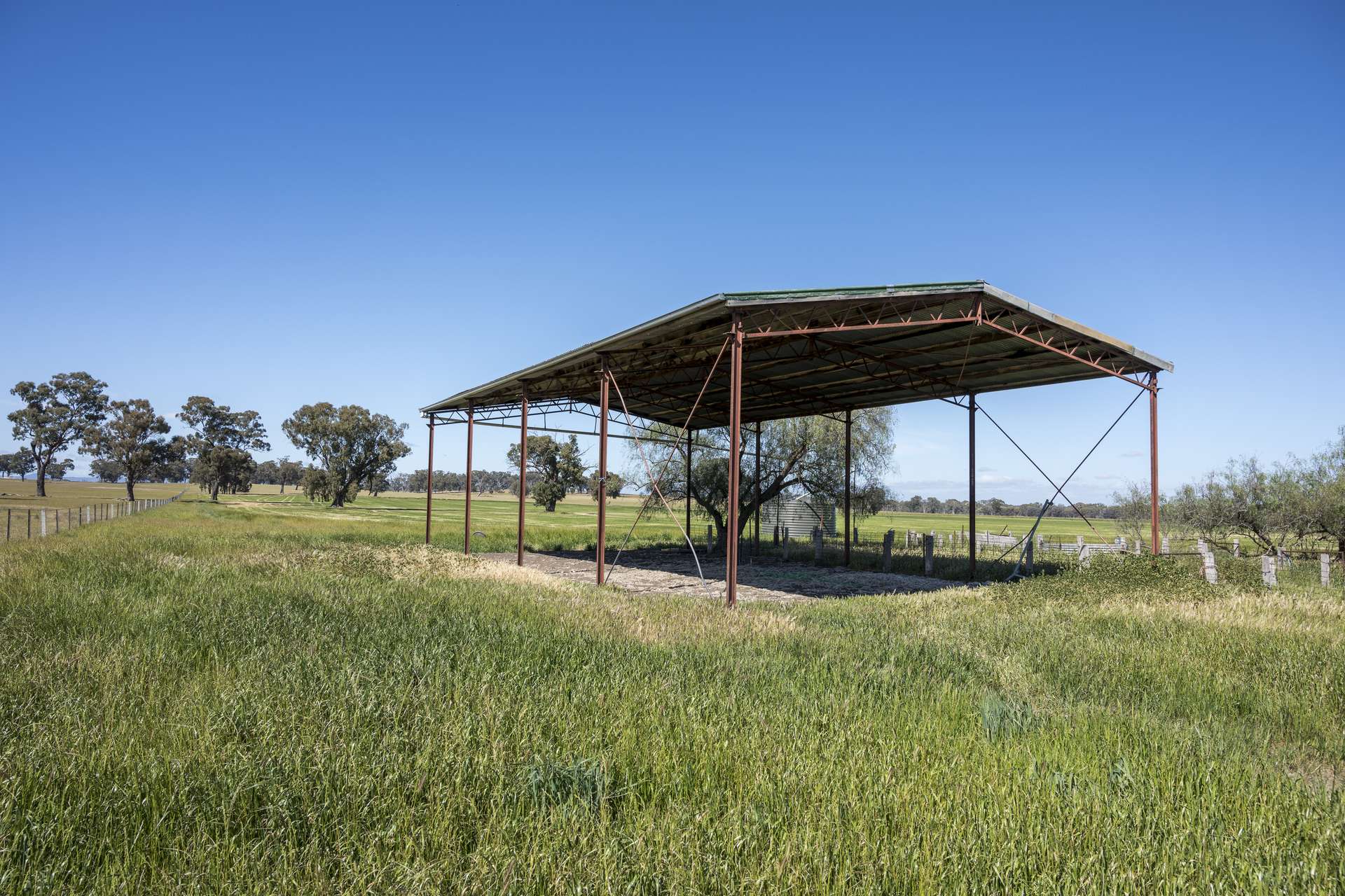 CA18 Goomalibee Rd, Goomalibee For Sale by Farmbuy.com - image 9