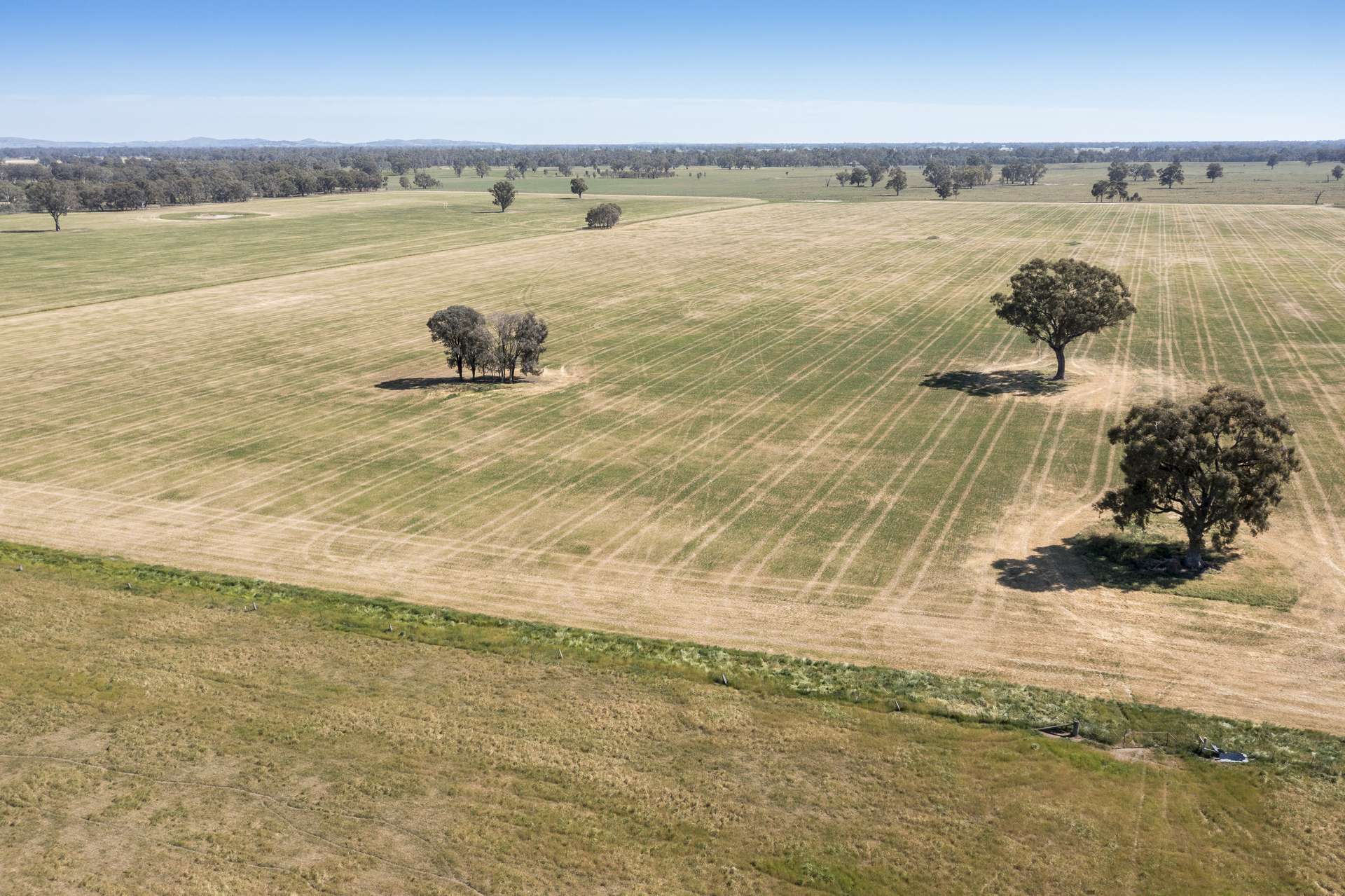CA18 Goomalibee Rd, Goomalibee For Sale by Farmbuy.com - image 20