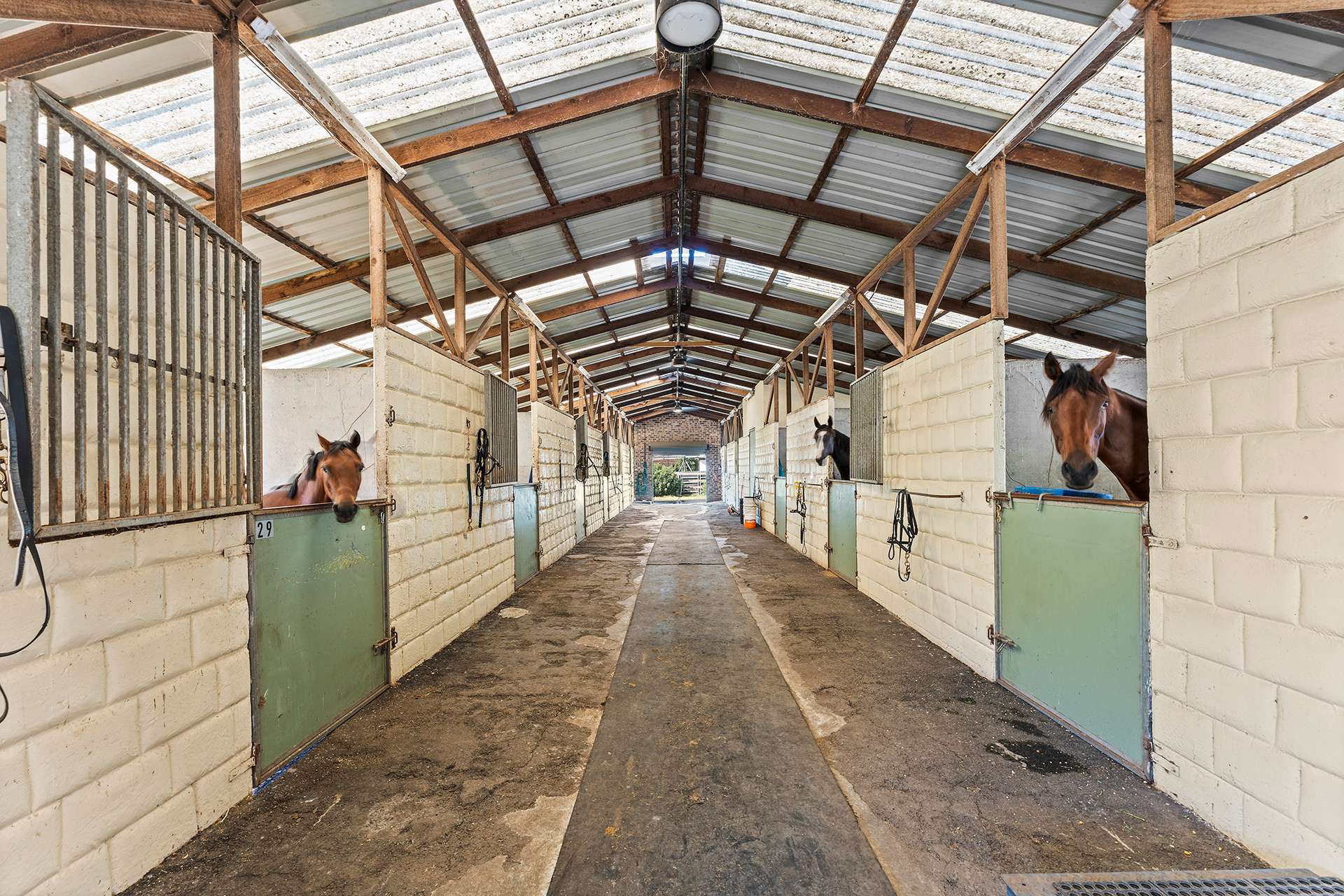 1a Kingston Town Drive, Kembla Grange For Sale by Farmbuy.com - image 3
