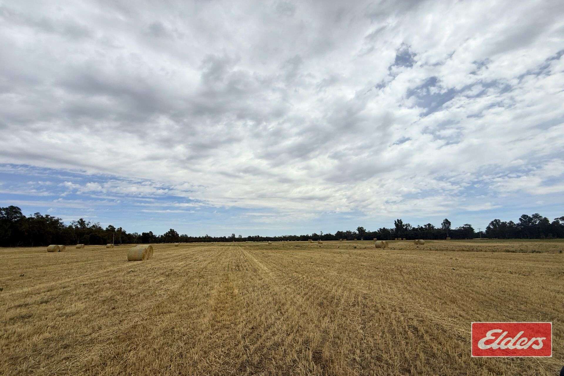 1971 Stewarts Bridge Road, Echuca Sold by Farmbuy.com - image 12