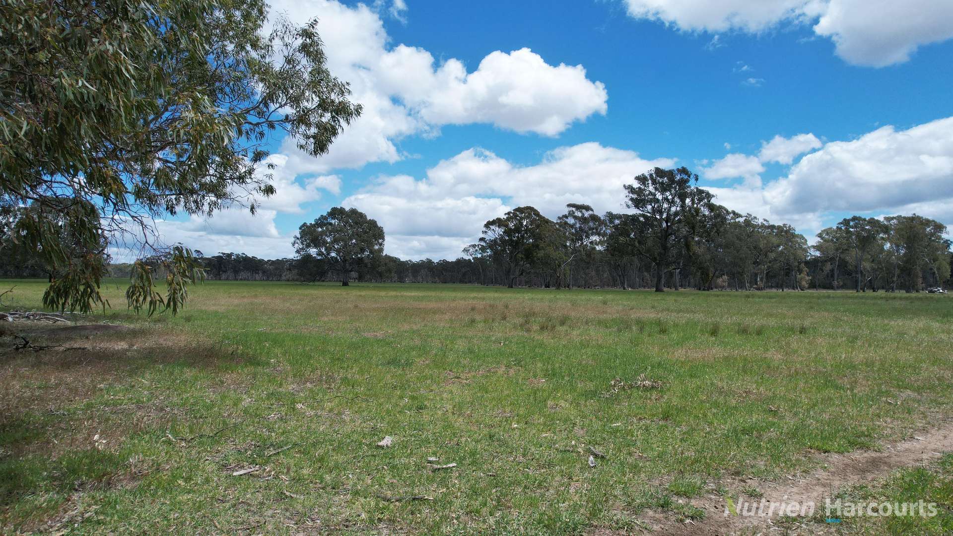 345 McDonalds Road, Clunes Sold by Farmbuy.com - image 8