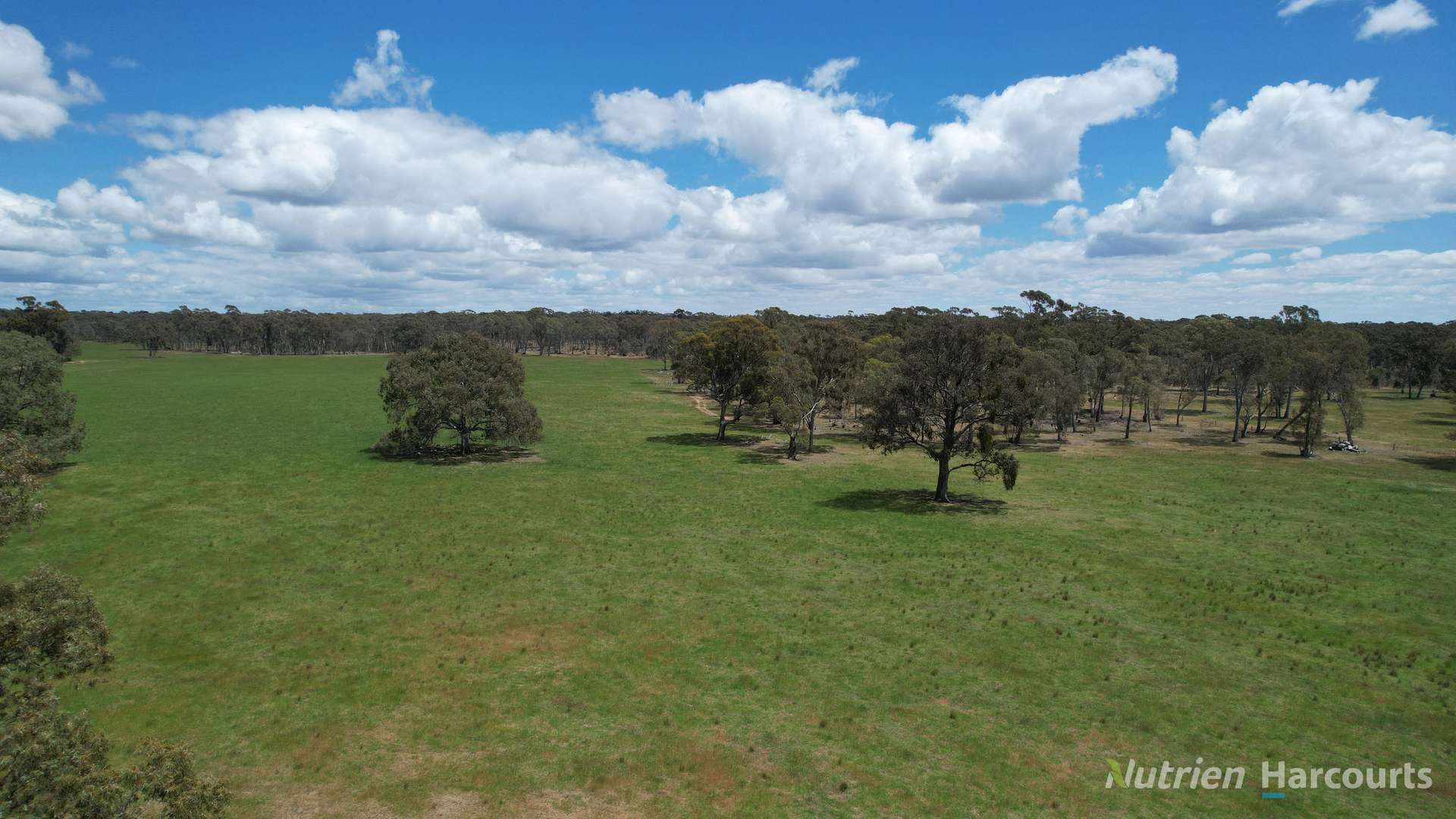 345 McDonalds Road, Clunes Sold by Farmbuy.com - image 5