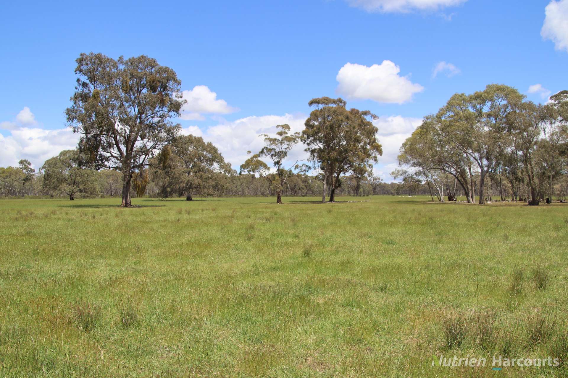 345 McDonalds Road, Clunes Sold by Farmbuy.com - image 13
