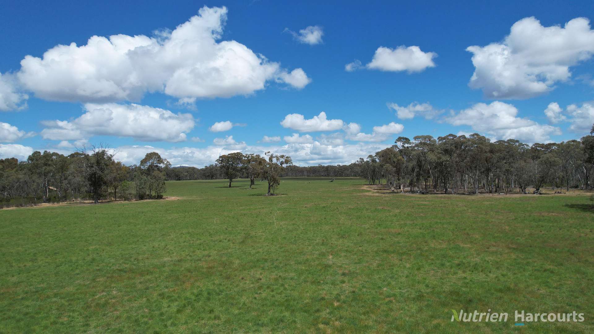 345 McDonalds Road, Clunes Sold by Farmbuy.com - image 1
