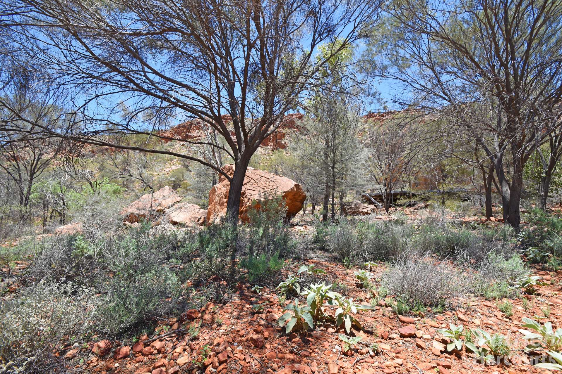 24 Swanson Road, Ilparpa For Sale by Farmbuy.com - image 22