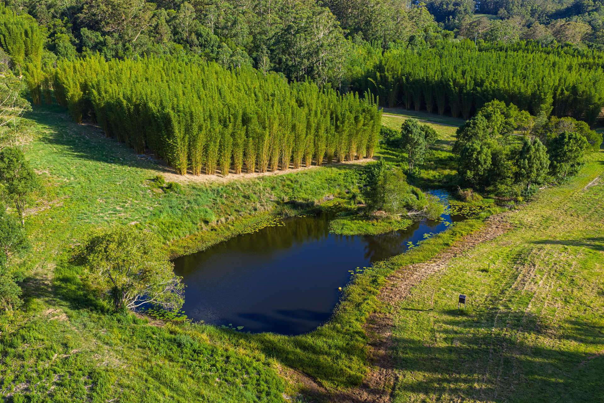 661 Stewarts River Road, Lorne Sold by Farmbuy.com - image 28