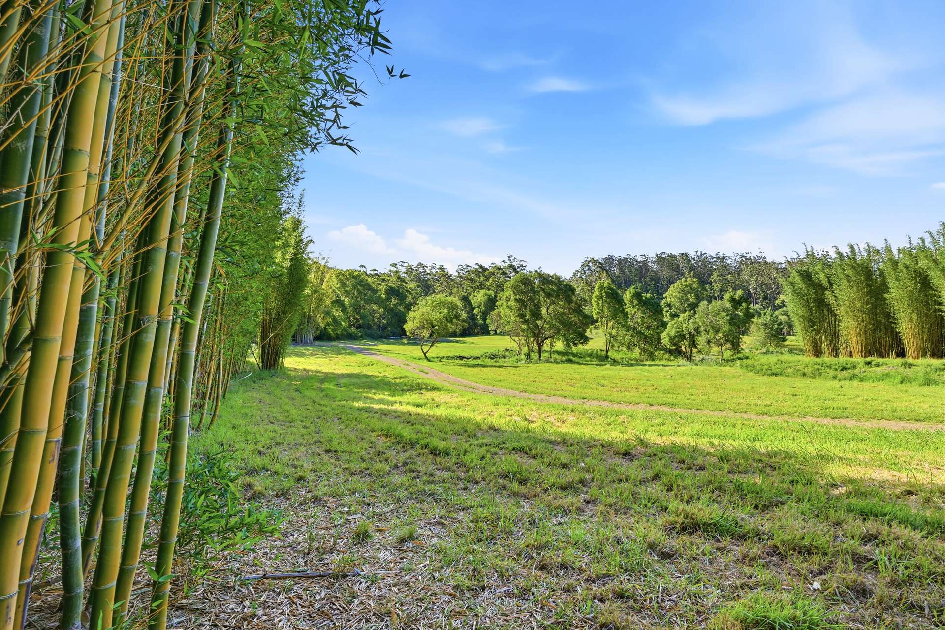 661 Stewarts River Road, Lorne Sold by Farmbuy.com - image 31