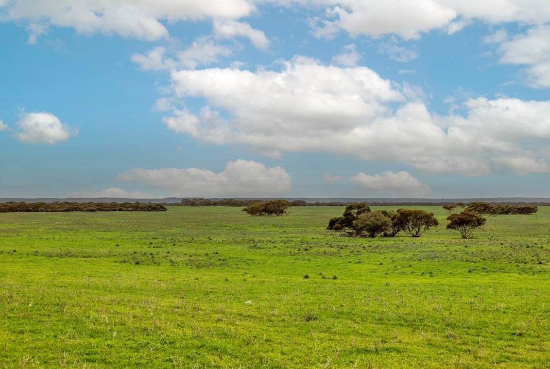 2293 Mallee Highway, Sherlock For Sale by Farmbuy.com - image 7
