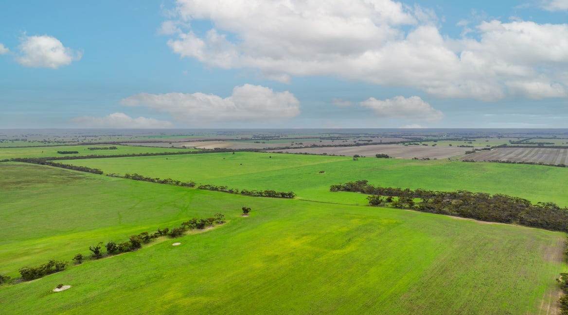 2293 Mallee Highway, Sherlock For Sale by Farmbuy.com - image 4