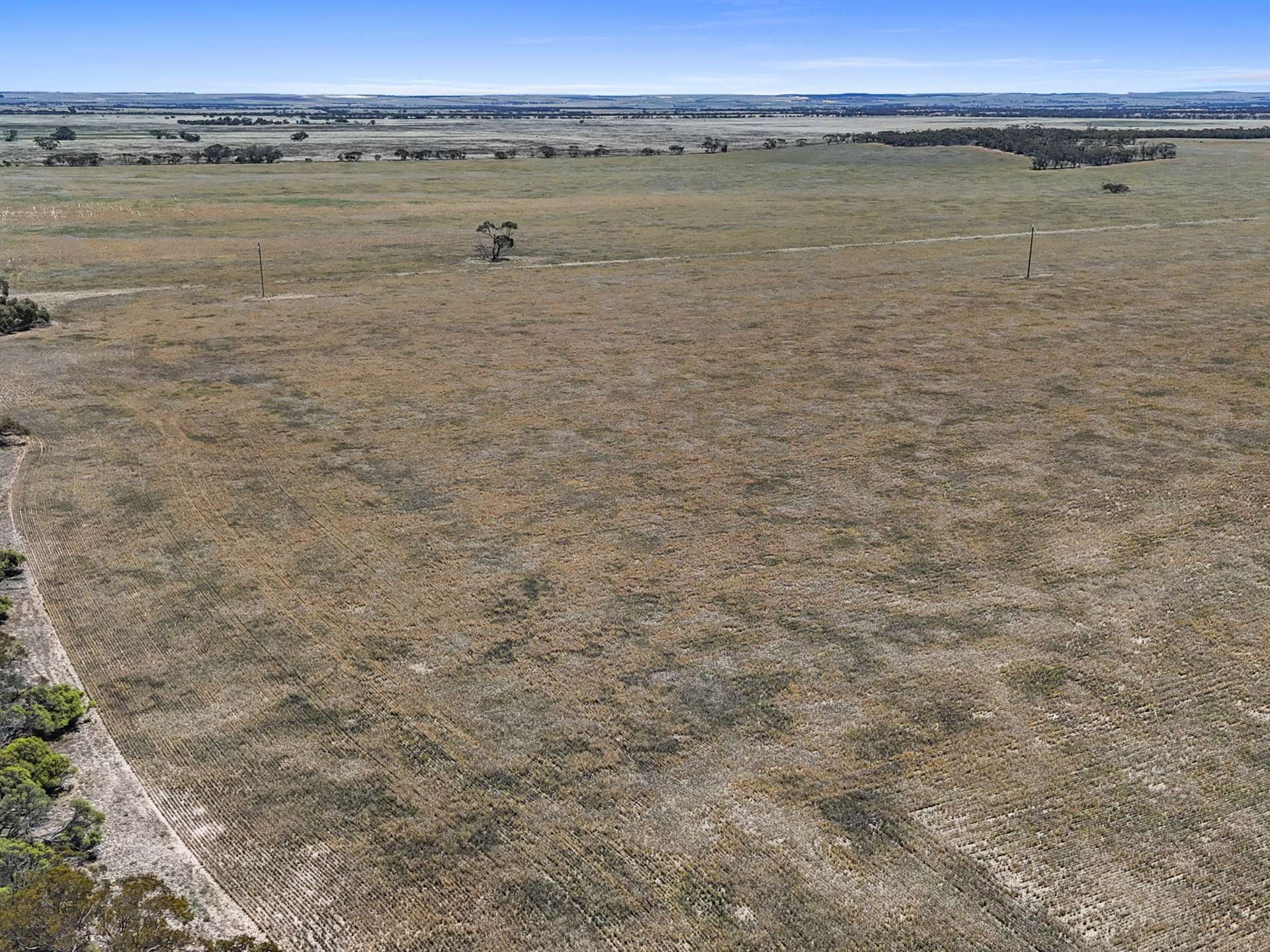 2293 Mallee Highway, Sherlock For Sale by Farmbuy.com - image 25