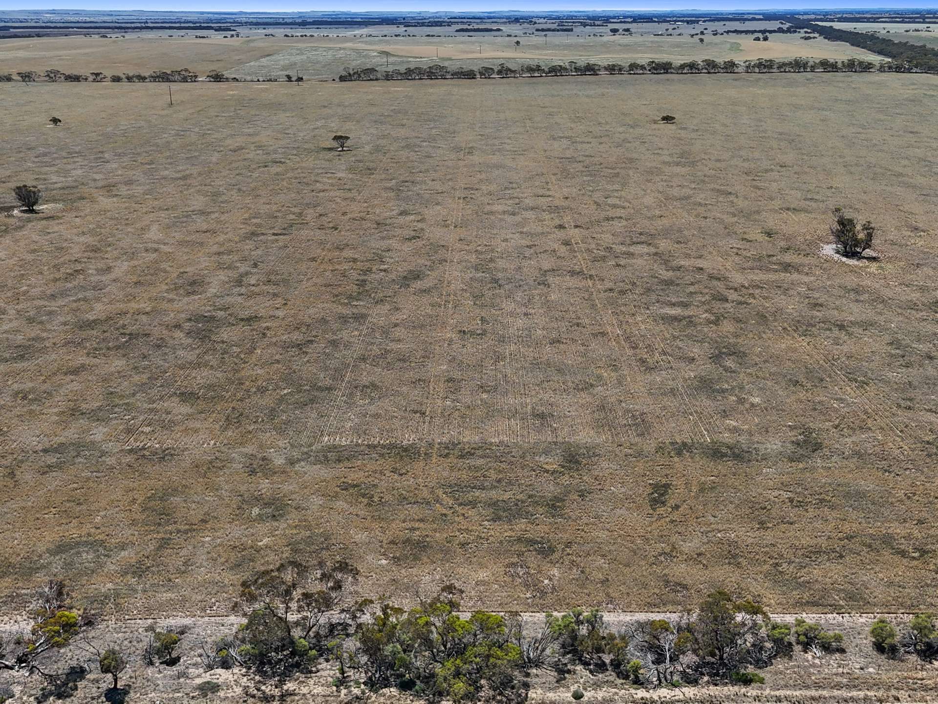 2293 Mallee Highway, Sherlock For Sale by Farmbuy.com - image 26