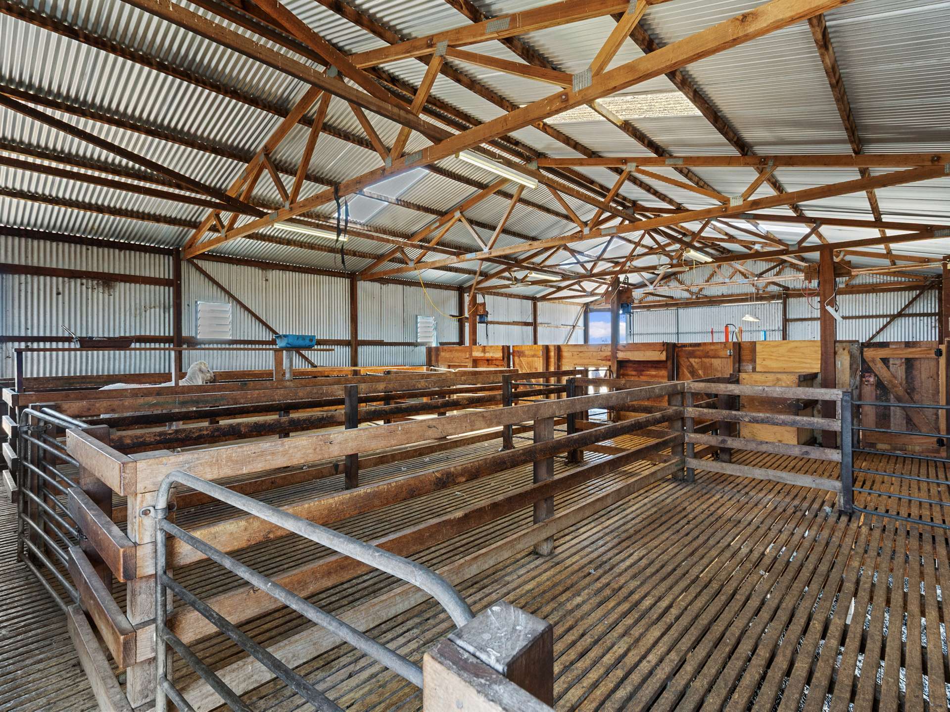 2293 Mallee Highway, Sherlock For Sale by Farmbuy.com - image 14