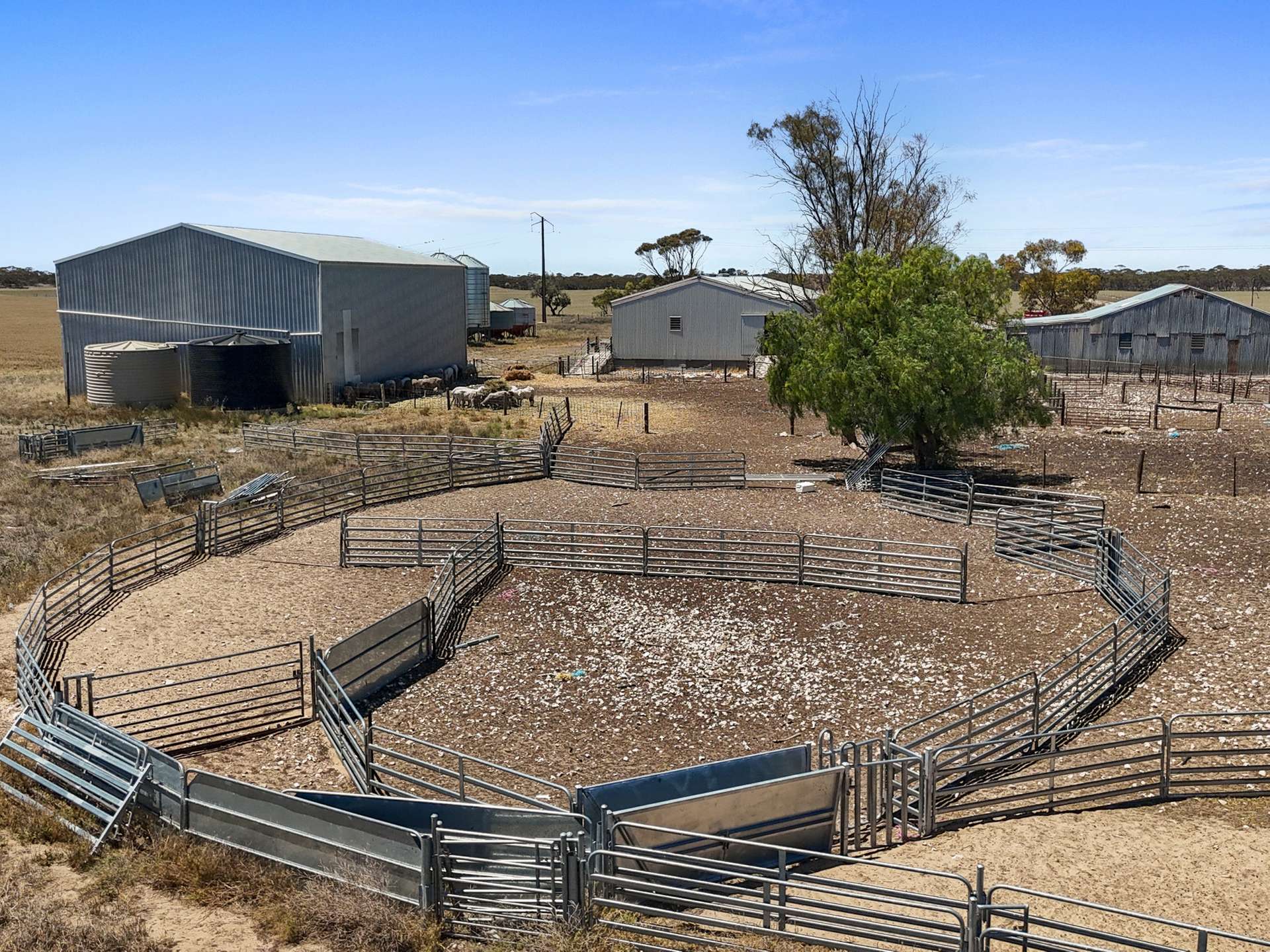 2293 Mallee Highway, Sherlock For Sale by Farmbuy.com - image 13