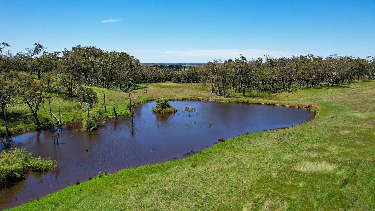 'Bakers Hill' 910 Mt Clay Road, Heywood Sold by Farmbuy.com - image 33