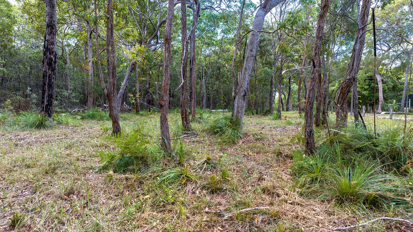 Lot 25,  Round Hill Road, Round Hill Sold by Farmbuy.com - image 8
