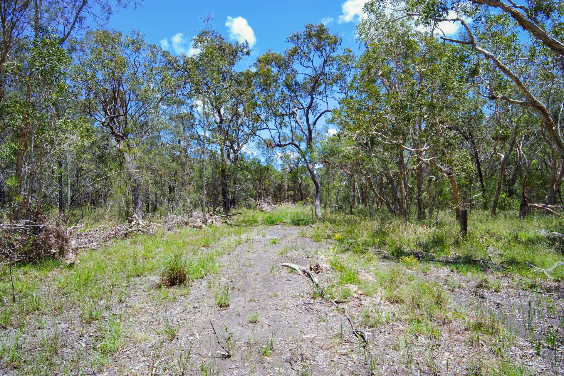 Lot 25,  Round Hill Road, Round Hill Sold by Farmbuy.com - image 19