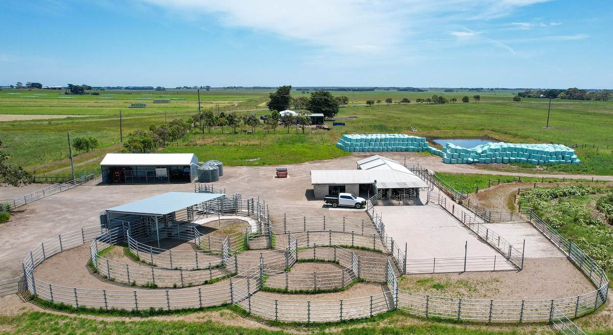 Lot 266 (part), 'Mount View' Occupation Lane, Panmure For Sale by Farmbuy.com - image 5