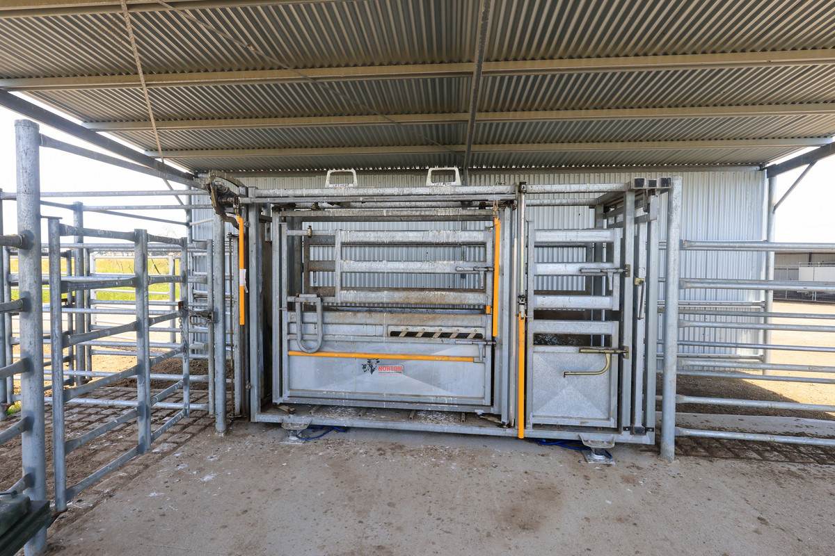 Lot 266 (part), 'Mount View' Occupation Lane, Panmure For Sale by Farmbuy.com - image 14