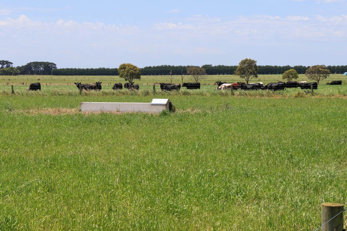 'Mount View' Occupation Lane, Garvoc For Sale by Farmbuy.com - image 16