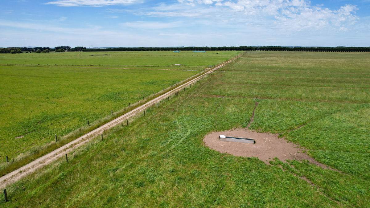 'Mount View' Occupation Lane, Garvoc For Sale by Farmbuy.com - image 8