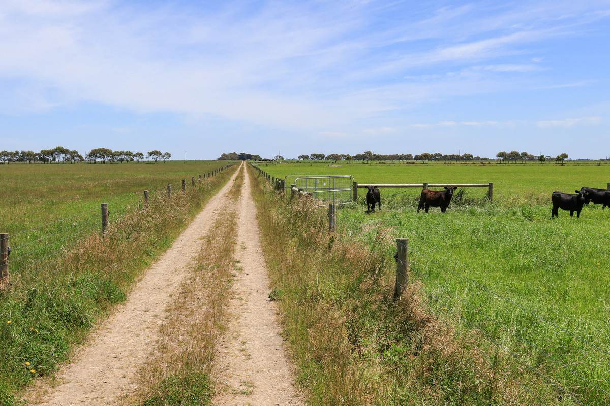 'Mount View' Occupation Lane, Garvoc For Sale by Farmbuy.com - image 15